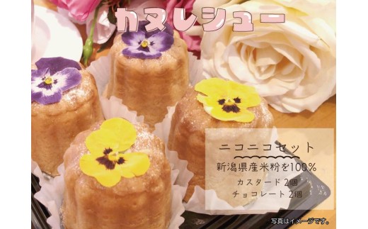 サントピアワールド の カヌレシュー4個セット（カスタード2個・チョコレート2個）遊園地 新潟県産米粉100％使用 カヌレ シュークリーム グルテンフリー  冷凍 スイーツ デザート 新潟県 阿賀野市 2S06007