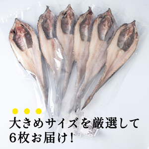 稚内産生冷八角　6枚【配送不可地域：離島・沖縄県】