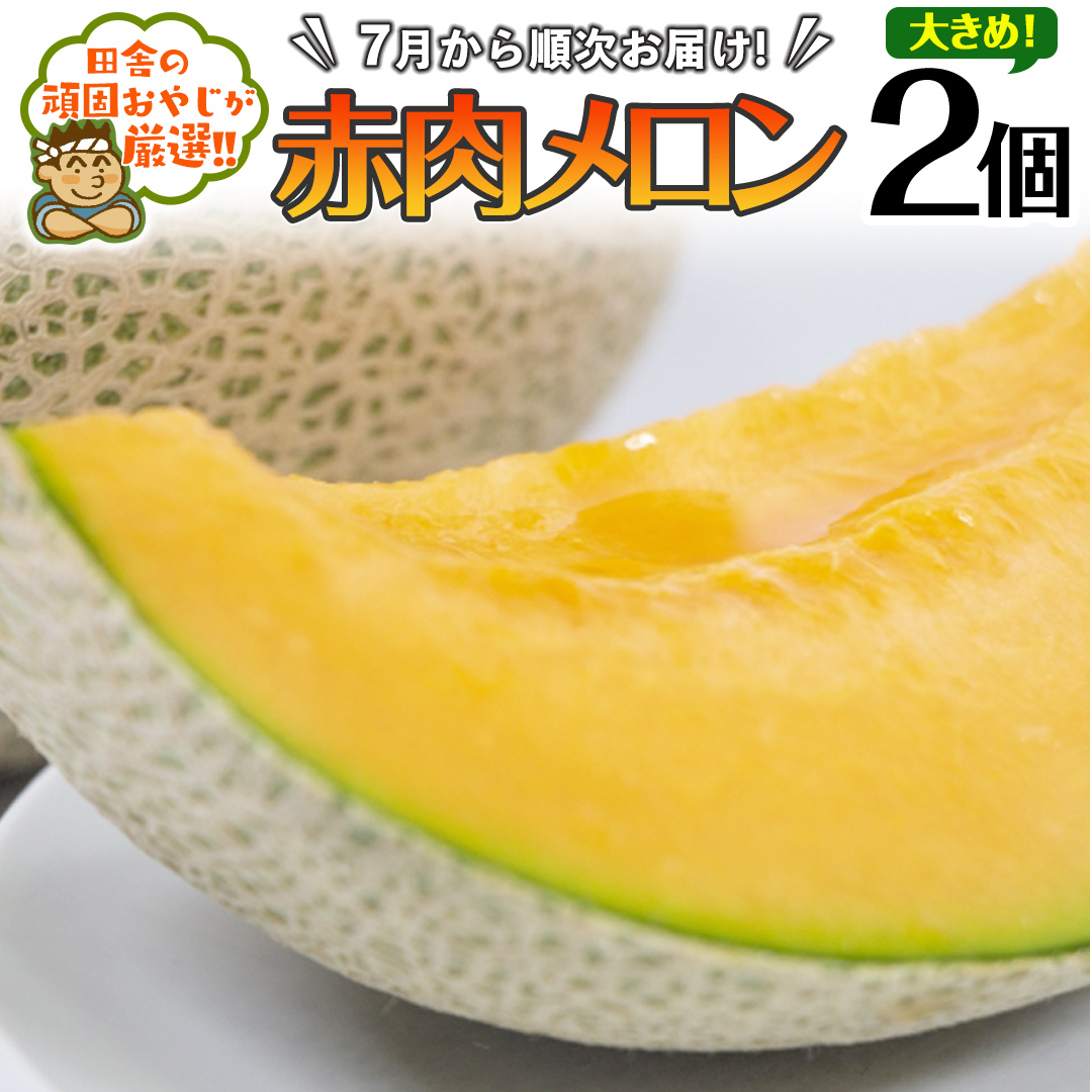 大きめ 赤肉 メロン 2個【2025年7月発送開始】田舎の頑固おやじが厳選！ [BI113-NT]