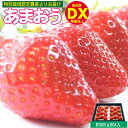 【ふるさと納税】あまおう DX等級以上 約300g×2パック ※配送不可：北海道・東北・沖縄・離島　【 果物 苺 フルーツ デザート 旬 大粒 中玉 大玉 旬のあまおう 福岡の特産品 】　お届け：2024年1月上旬～4月20日