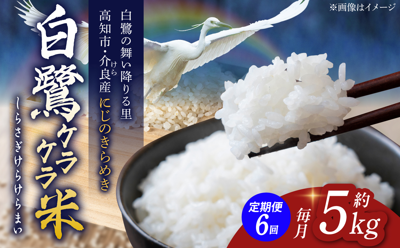 【6回定期便】 R8年度産 特別栽培米 農薬節減！ 白鷺ケラケラ米 にじのきらめき 各約5kg 合計約30kg / 高知 米 お米 精米 　【津ノ宮農園】[ATBV007]