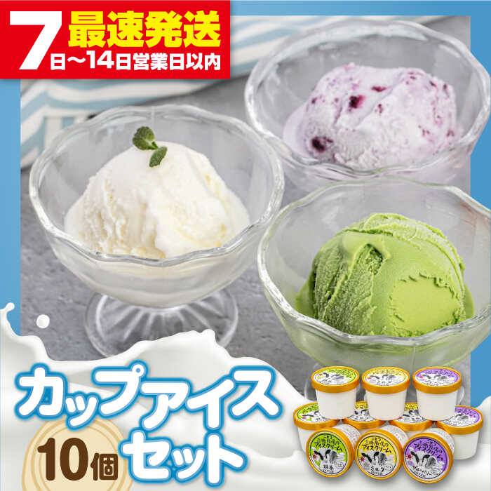 【ふるさと納税】カップアイスセット 10個 《喜茂別町》【ニセコリゾート観光協会/ミルク工房】 アイス アイスクリーム ジェラート ミルク 抹茶 ブルーベリー ギフト セット 詰め合わせ 冷凍 冷凍配送 北海道 [AJAI011] 11000 11000円