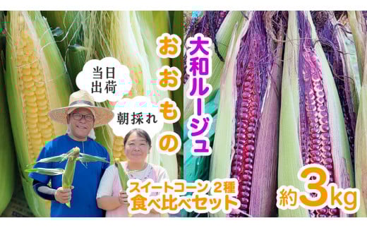 【 朝採れ 当日出荷 】 スイートコーン 2種 ( 大和ルージュ ・ おおもの ) 食べ比べ セット 約3kg 甘い 新鮮 皮付き トウモロコシ とうもろこし コーン 野菜 [DX009ci]