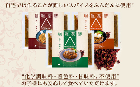 175DENOカレー 3種セット 各2袋 計6袋（無水カレー180g×6）