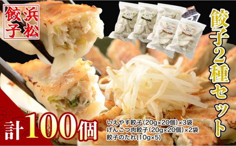 
「浜松餃子」いえやす餃子 2種 100個セット【配送不可：離島】 [№5786-5585]

