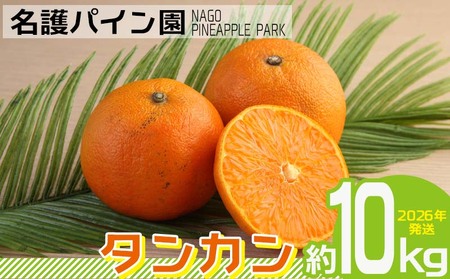 タンカン 2026年発送【名護パイン園】タンカン 約10kg