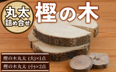 樫の木 丸太詰め合わせ(大1点・小2点) 木 樫 かし 丸太 鍋敷き 【ksg1432】【宮崎木材店】