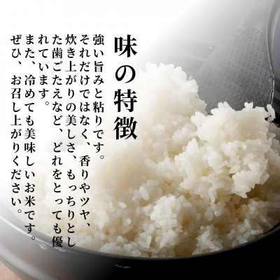 【毎月定期便】特別栽培米コシヒカリ「伊彌彦米」無洗米 新潟県 弥彦村産 5kg全6回