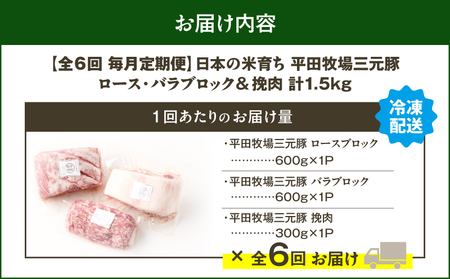 【 全6回 毎月 定期便 】 日本 の 米育ち 平田牧場 三元豚 バラブロック 600g ・ 豚ロースブロック 600g ・ 豚挽肉 300g T036-T14-02 定期 肉 お肉 にく 豚 豚肉 