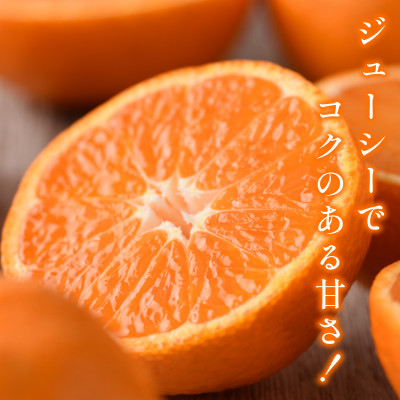 【宗方印】【数量限定】温州みかん 約5kg(家庭用)【K003650K5】【1676984】