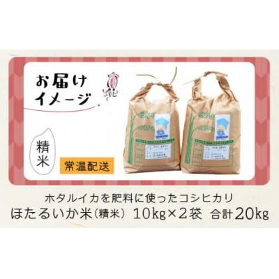 ふるさと納税 滑川市 【ほたるいか米】精米　20kg(10kg×2袋) |  | 03