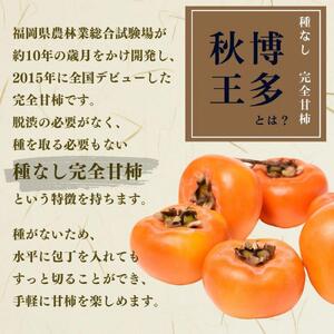 【2026年11月上旬より順次発送】福岡県産 博多秋王【優等品】約3.5kg以上(8玉〜12玉入り)うまうまもぐもぐ