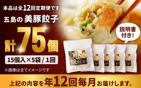 【全12回定期便】美豚餃子15個入×3袋 豚肉 SPFポーク 小分け 国産野菜 冷凍 五島市/長崎フードサービス [PEL012]