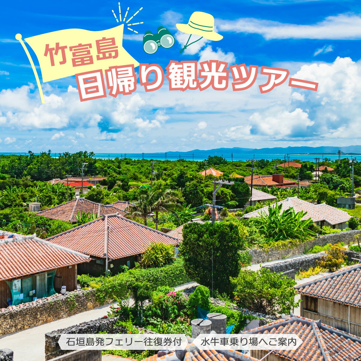 【ふるさと納税】竹富島日帰り観光ツアー　～水牛車で楽しむ竹富島での過ごし方＜半日／指定ホテルお送り＞【 旅行 体験チケット観光 大自然 体験ツアー 観光 沖縄 アクティビティ】