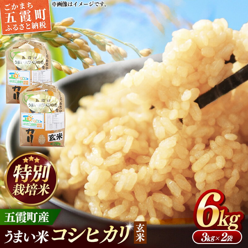 【ふるさと納税】【特別栽培米】五霞町産うまい米コシヒカリ（玄米）6kg ／ 令和7年産 お米 こしひかり 減農薬 減化学肥料 茨城県 認証 取得 健康 環境【価格改定X】