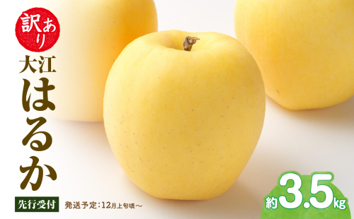 《先行受付》訳あり 大江はるか約3.5kg【2025年12月上旬頃～発送予定】【大江町産・山形りんご・りんご専科 清野】 【015-060】