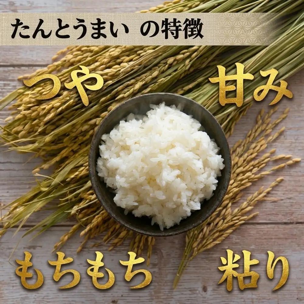 ＜令和8年産＞たんとうまい ななつぼし 5kg ＜JAとまこまい広域取扱 安平町特産品＞