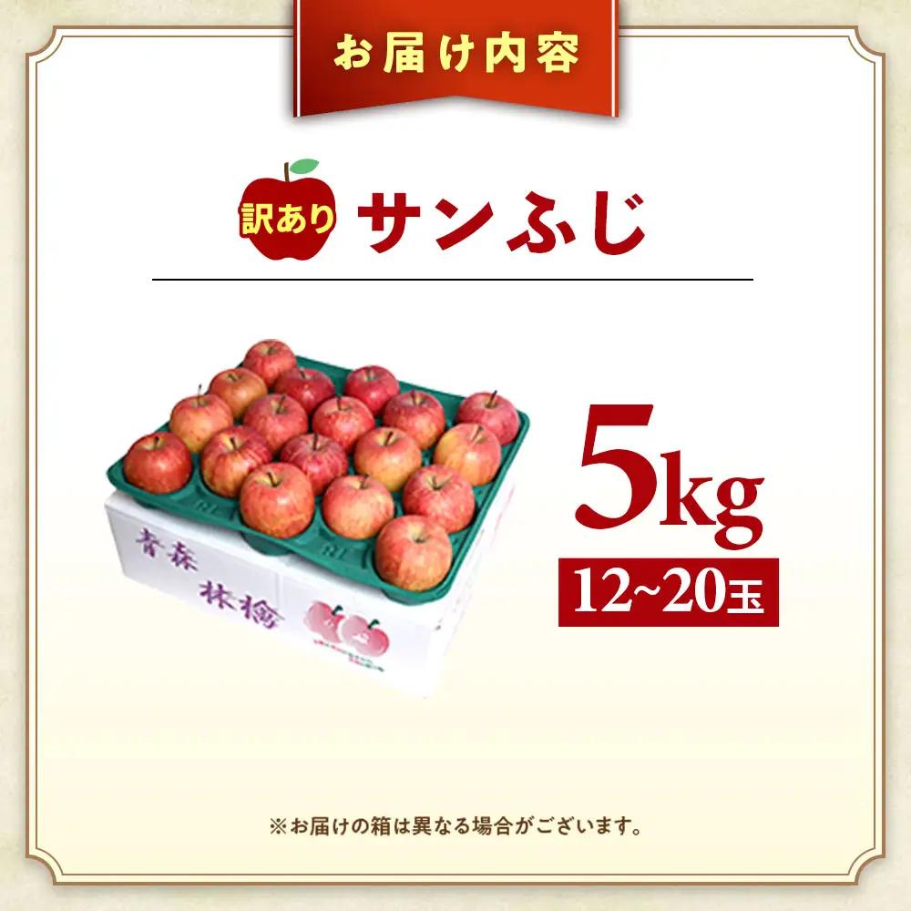 【訳あり】 青森県産りんご サンふじ 約5kg 1月～ りんご
