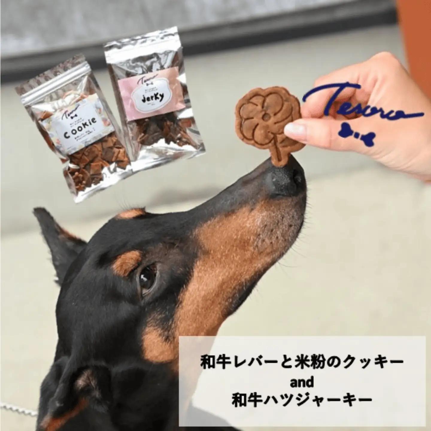 【Tesoro】わんこ用／和牛レバー米粉のクッキーとジャーキー　各1袋入り　クッキー