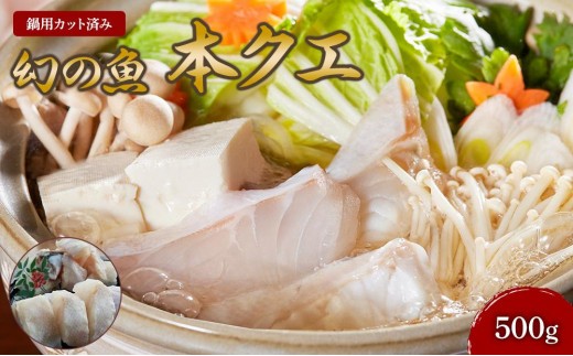 
幻の魚　本クエ鍋用　紀州和歌山　500g
