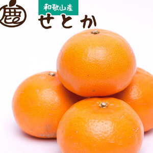 ［先行予約］厳選 せとか10kg+250g（傷み補償分）［柑橘・春みかんの王様］［光センサー選果・食べ頃出荷］ ［IKE255］