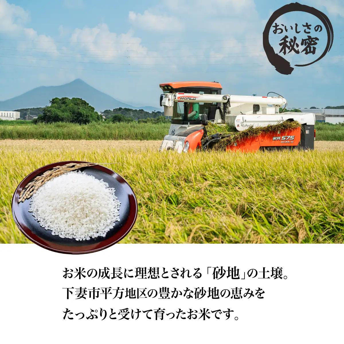 精米 10kg 令和7年産 コシヒカリ 茨城県 下妻市産