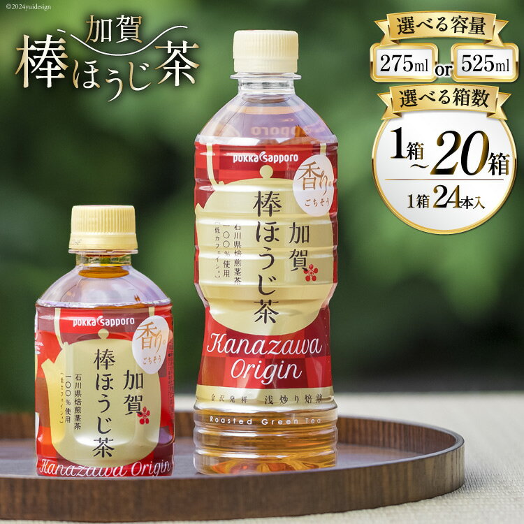 【ふるさと納税】加賀棒ほうじ茶 ペットボトル 選べる容量・箱数【1箱24本入り (275ml,525ml) 1箱/2箱/3箱/5箱/10箱/20箱】[油谷製茶 石川県 宝達志水町 38601017] レビューキャンペーン