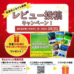 佐渡産ふっくら銀鮭（8切）