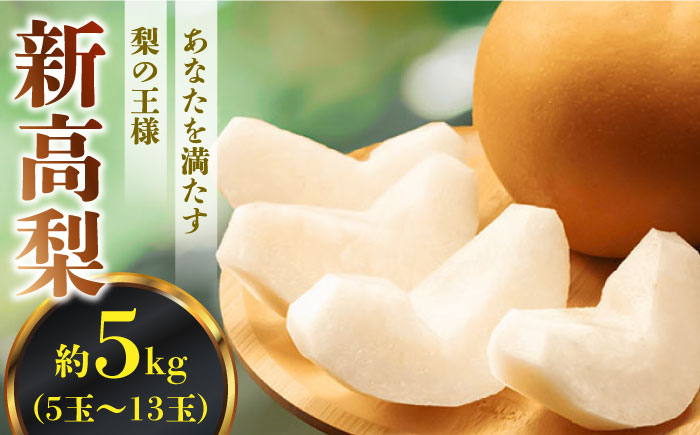 【2026年10月〜発送】【あなたを満たす梨の王様】新高梨 約5kg 特大級 梨専門 八木農園 / 梨 なし ナシ / 南島原市 / 贅沢宝庫 [SDZ032]