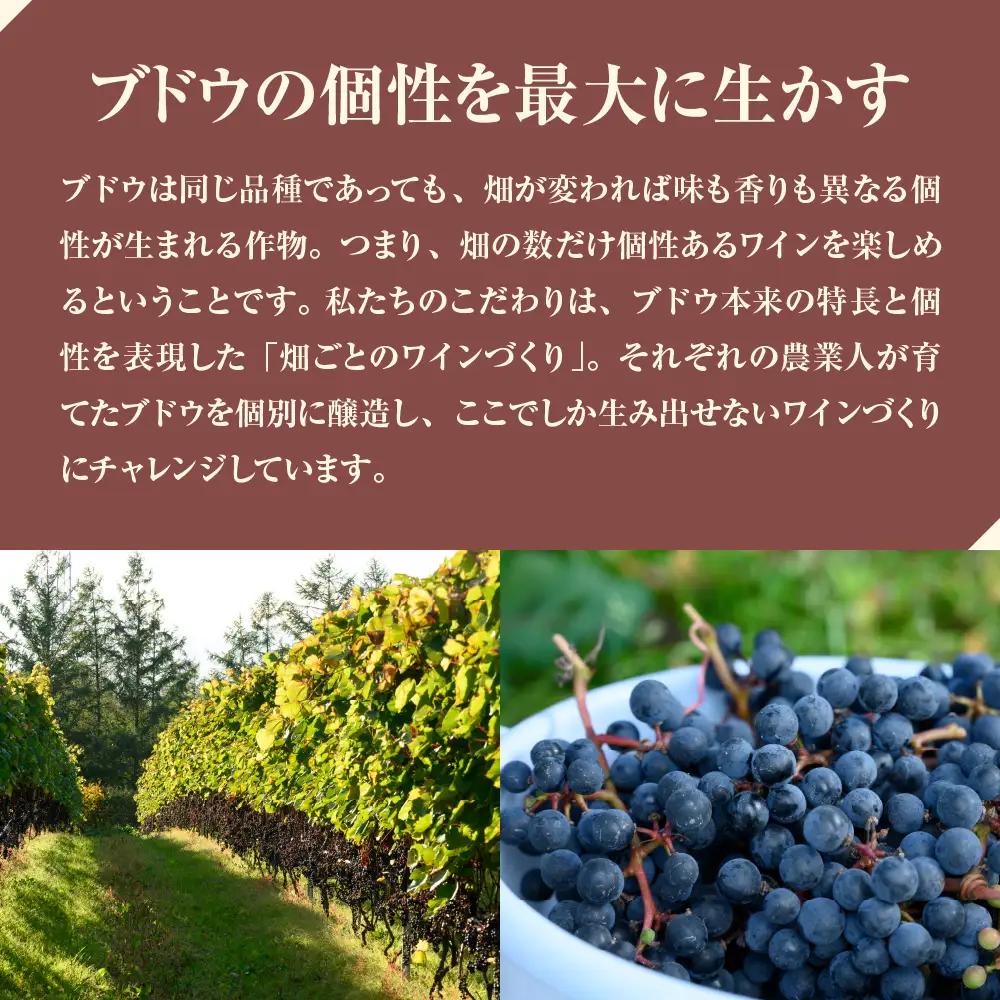 北海道十勝芽室町 清舞【BITO KOICHI】北海道 十勝 芽室町 赤ワイン わいん 果実酒 酒 セット 贈り物 ギフト お祝い 記念日 お歳暮 国産 瓶 お取り寄せ 北海道 十勝 芽室町北海道 十