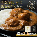 【ふるさと納税】【選べる個数】今金男しゃく黒毛和牛カレー260g 2種セット（濃厚まろやか・スパイシー各1個） レトルトカレー 北海道 じゃがいも 芋 肉 牛肉 和牛 男爵いも F21W-188var