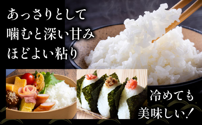 令和7年産 岩見沢産 ななつぼし 10kg (5kg×2袋) 精米 a161-001