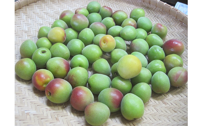 6月中旬～順次発送 青梅（紅映梅）10kg 2Lサイズ前後 秀と優の混合 野菜 ウメ