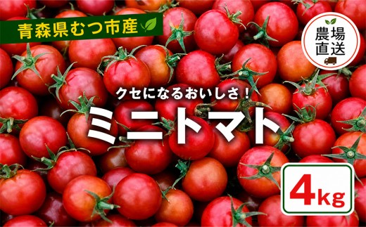 むつ市産　寅福菜園の「ミニトマト」4㎏