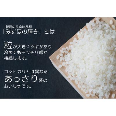 ふるさと納税 阿賀野市 【パックご飯】 新潟県阿賀野市産みずほの輝き 150g×36食 |  | 01