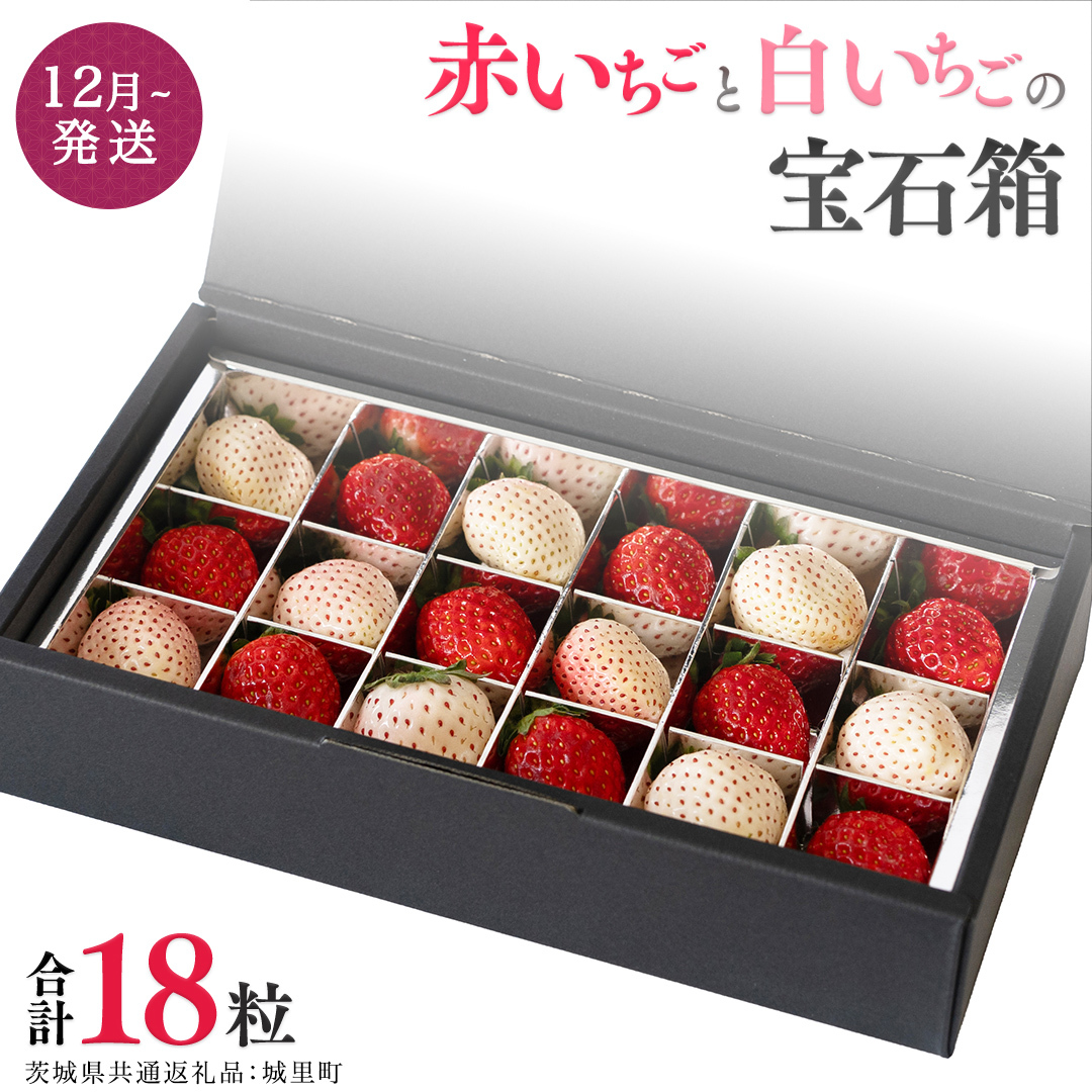 赤いちごと白いちごの宝石箱 18粒 【12月から発送開始】（茨城県共通返礼品 [いちご]：城里町産）田舎の頑固おやじが厳選！  果物 フルーツ いちご イチゴ 苺 白苺 贈答 ギフト [BI335-N