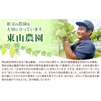 ふるさと納税 笠岡市 東山ワイン2025 750ml 藤稔 ピオーネ 2本セット 東山農園《30日以内に出荷予定(土日祝除 |  | 01