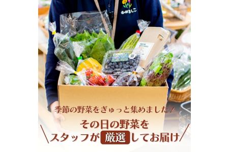 野菜 定期便 卵付き 旬の野菜セット 2人用 6ヶ月定期便 益子町 AA034