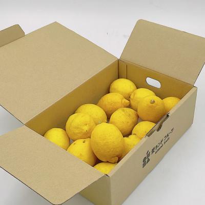 ふるさと納税 松山市 中島産　レモン　1.5kg |  | 01