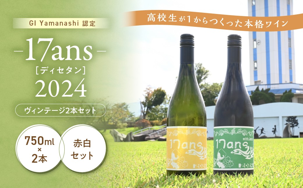 
            農林高校ワイン　17ans[ディセタン]2024ヴィンテージ　変わり種赤白ワイン2本セット　高校生ワイン　赤ワイン　白ワイン　チャレンジ　企画　飲み比べ　農林ワイン　高校生　甲斐市（AD-322）
          