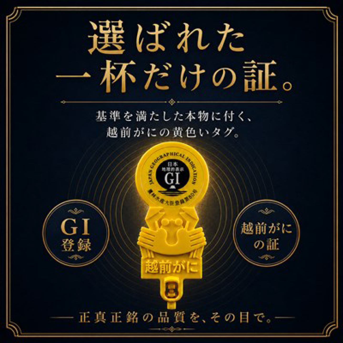 【先行予約/11月18日より順次配送】【訳あり】越前がに 1.3kg×2杯 茹で 福井県産ズワイガニ 脚折れ・欠け / かに カニ 蟹 越前ガニ ズワイガニ ボイル / 小浜市 / 一進わかさ【配送不