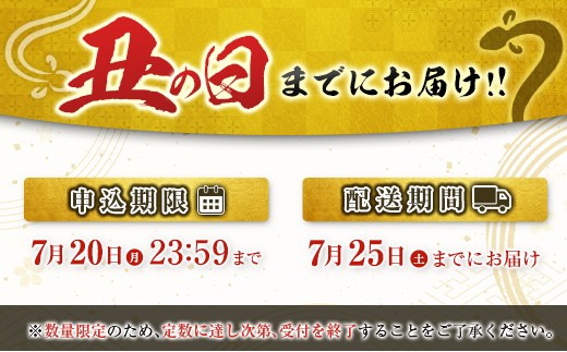 国産 うなぎ蒲焼 3尾 計330g以上