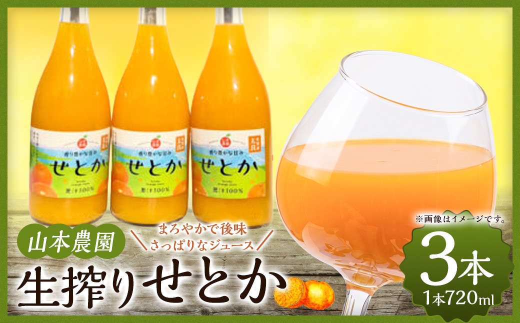 
                  山本農園の生搾りせとか　３本セット 飲料 オレンジジュース ジュース 生搾り みかん 蜜柑 ミカン おれんじ オレンジ フルーツ 果物 くだもの ジューシー 柑橘  国産 完熟 ジューシー プレゼント 贈り物 ギフト 3本 セット 佐賀県 太良町 NC13x1
                