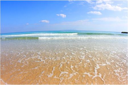 スタンドアップパドルボードスクール＜1レッスン利用券＞ [マリンスポーツ アクティビティ]