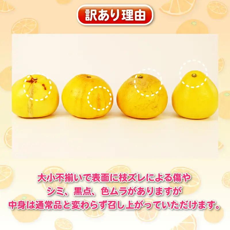 訳あり 旬 の 柑橘定期便 全4回 杉本屋 不知火 デコポン ( デコポン と同品種) 完熟 みかん ポンカン 土佐 文旦 B040-143024