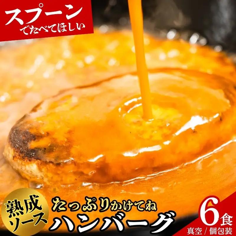  【ふるさと納税限定】 ハンバーグSaiの味 ふわふわ ハンバーグ 自家製ソース付き 6食  sai001b ハンバーグ