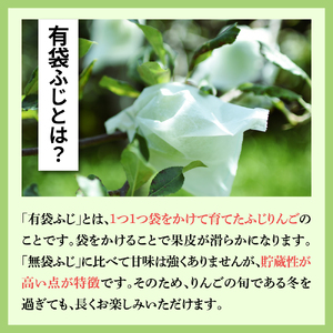 【2025月6月後半発送】りんご　有袋ふじりんご約3kg CA貯蔵 丸福規格 有袋フジりんご青森県五所川原市