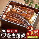 【ふるさと納税】 国産 やわらか 新仔 うなぎ 蒲焼 3尾 (3尾 計360g以上) ふっくら蒲焼き ブランド鰻使用 秘伝のタレ・山椒付き 湯煎で簡単調理 うな丼 ちらし寿司 贈答用 ギフト 冷蔵配送 茨城県 潮来市 (A23-013)