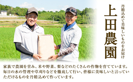 令和7年産 米 にこまる 約10kg (5kg×2袋) こめ コメ 玄米 上田農園《10月中旬-11月中旬頃出荷》 熊本県 荒尾市 米 玄米 こめ st-p