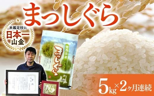 ＜定期便＞【コメ鑑定技術日本一の山金】 まっしぐら 5kg×2ヶ月連続（令和7年産） 白米 精米 米 お米 おこめ コメ 東北 青森県 南部町 F21U-480